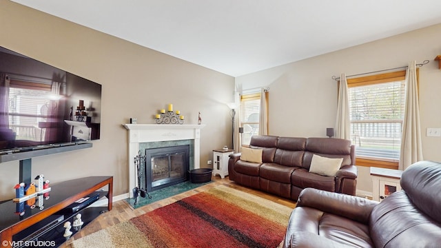living room with wood finished floors, baseboards, and a premium fireplace