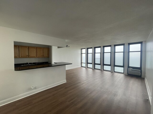 6700 S S Shore Dr Unit 21B, Chicago, IL 60649 - unfurnished living room featuring baseboards, plenty of natural light, and dark wood-type flooring