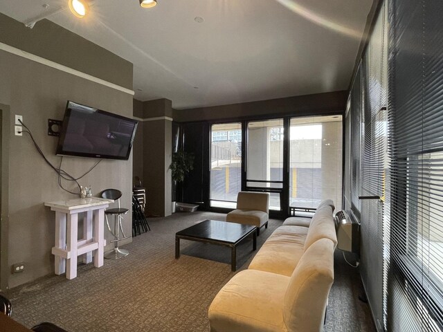 6700 S S Shore Dr Unit 21B, Chicago, IL 60649 - living area with carpet flooring