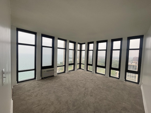 6700 S S Shore Dr Unit 21B, Chicago, IL 60649 - carpeted spare room featuring a wall of windows and a wall mounted AC