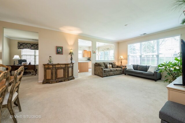 2835 Cascade Falls Cir, Elgin, IL 60124 - living room featuring light colored carpet, crown molding, and plenty of natural light