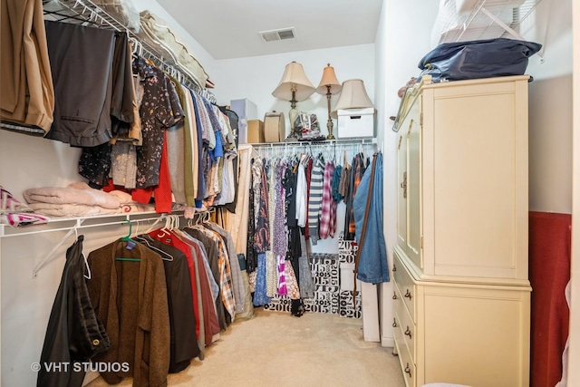 2835 Cascade Falls Cir, Elgin, IL 60124 - spacious closet with light colored carpet