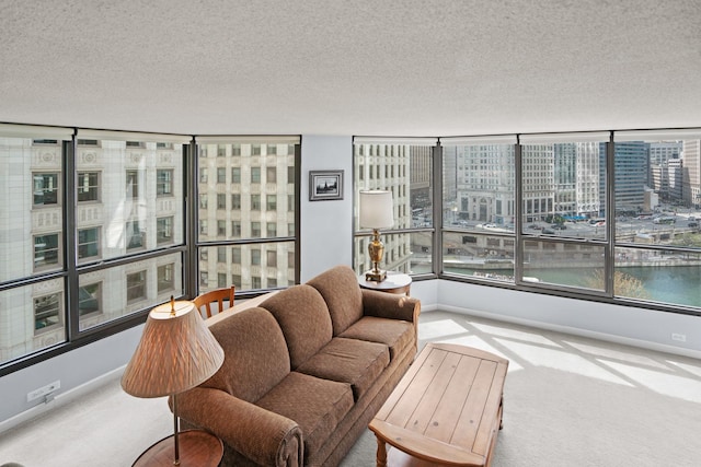 carpeted living area featuring baseboards, a city view, and a textured ceiling