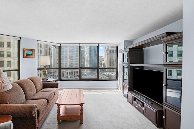 carpeted living area featuring baseboards and a textured ceiling