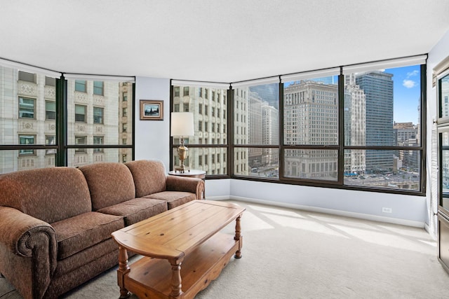 living room with a view of city, baseboards, and carpet flooring