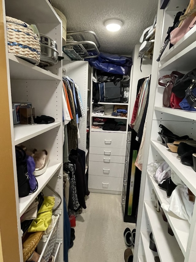 195 N Harbor Dr Unit 4908, Chicago, IL 60601 - view of spacious closet