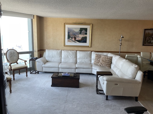 195 N Harbor Dr Unit 4908, Chicago, IL 60601 - carpeted living room with a textured ceiling and a wealth of natural light