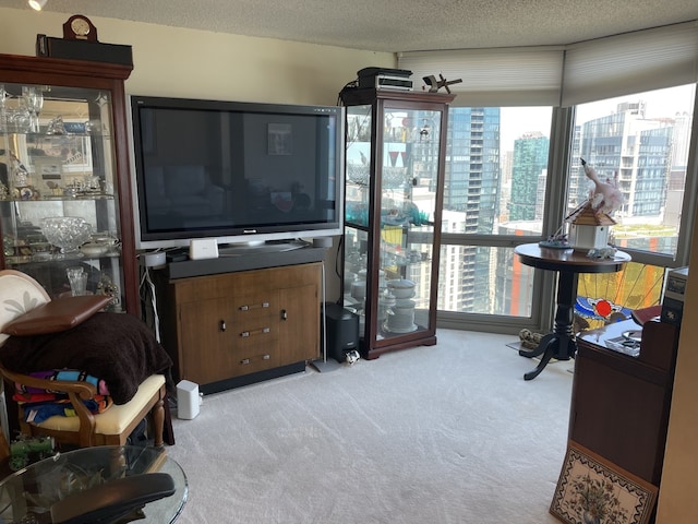 195 N Harbor Dr Unit 4908, Chicago, IL 60601 - living room featuring a textured ceiling and light colored carpet