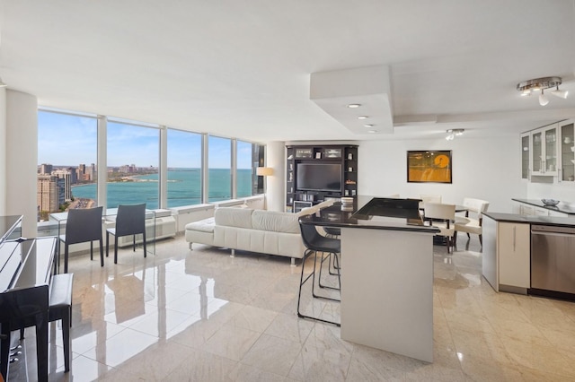 505 N Lake Shore Dr Unit 4412, Chicago, IL 60611 - view of living area