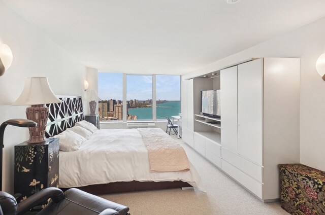 505 N Lake Shore Dr Unit 4412, Chicago, IL 60611 - bedroom with light carpet