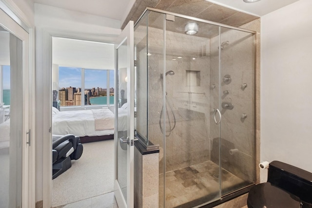 505 N Lake Shore Dr Unit 4412, Chicago, IL 60611 - ensuite bathroom featuring a shower stall