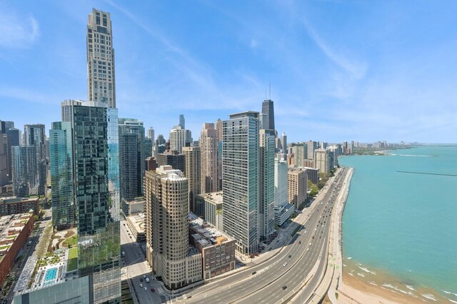 505 N Lake Shore Dr Unit 4412, Chicago, IL 60611 - city view with expansive beach