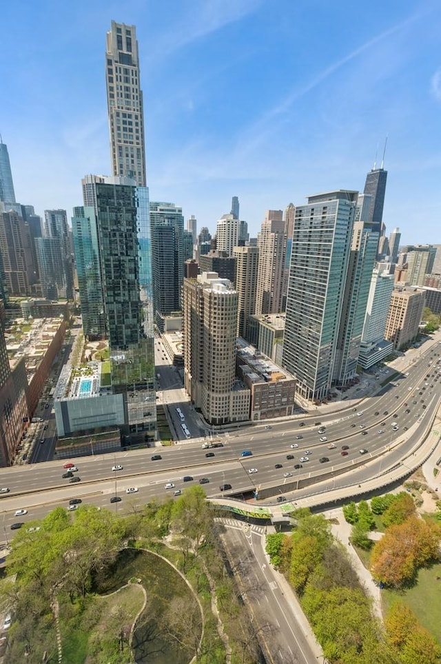 505 N Lake Shore Dr Unit 4412, Chicago, IL 60611 - view of city