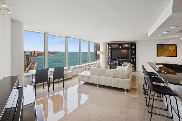 505 N Lake Shore Dr Unit 4412, Chicago, IL 60611 - view of living room