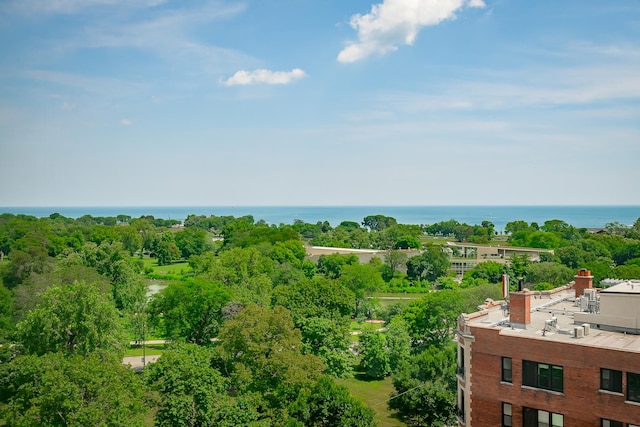 345 W Fullerton Pkwy Unit 1303, Chicago, IL 60614 - photo 23