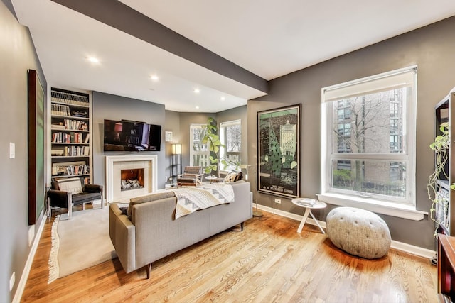 living area featuring baseboards, plenty of natural light, and wood finished floors