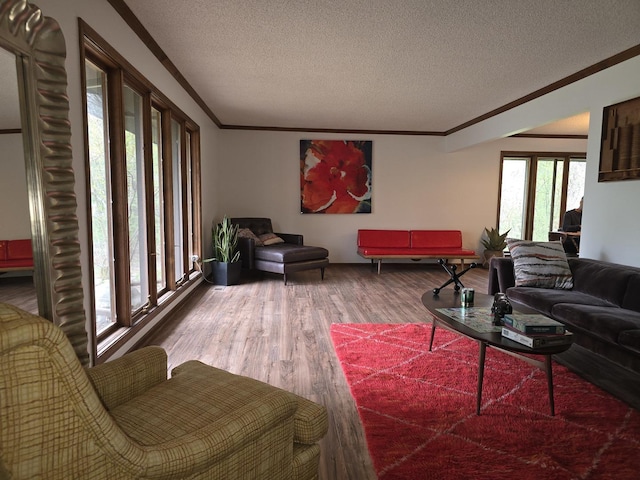 38W443 Woodhill Ln, Saint Charles, IL 60175 - living room featuring a textured ceiling, ornamental molding, and wood finished floors