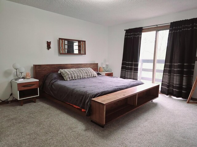38W443 Woodhill Ln, Saint Charles, IL 60175 - bedroom with a textured ceiling, carpet, and access to exterior