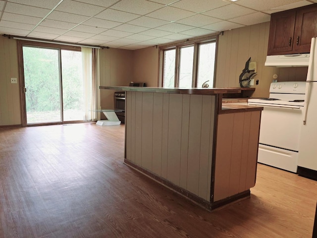 38W443 Woodhill Ln, Saint Charles, IL 60175 - kitchen featuring a paneled ceiling, white electric range, wood finished floors, and under cabinet range hood