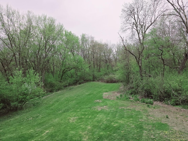 38W443 Woodhill Ln, Saint Charles, IL 60175 - view of yard featuring a wooded view