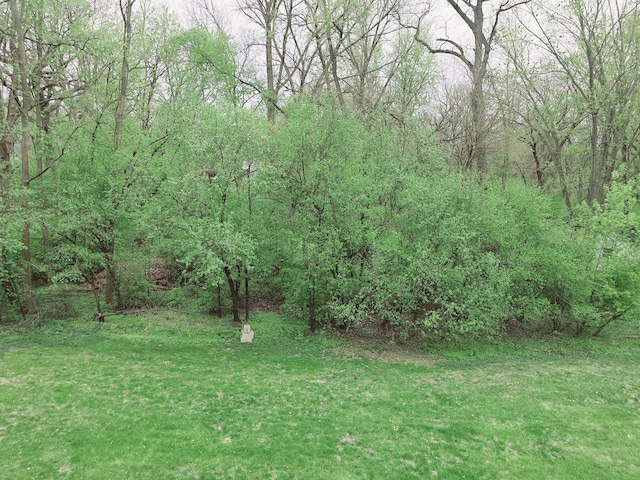 38W443 Woodhill Ln, Saint Charles, IL 60175 - view of yard with a view of trees