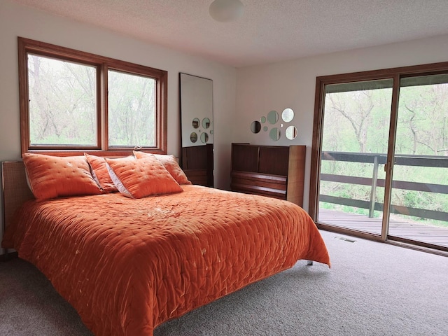 38W443 Woodhill Ln, Saint Charles, IL 60175 - carpeted bedroom with access to outside, a textured ceiling, and multiple windows