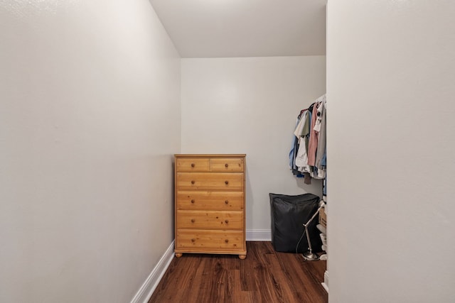 spacious closet featuring wood finished floors