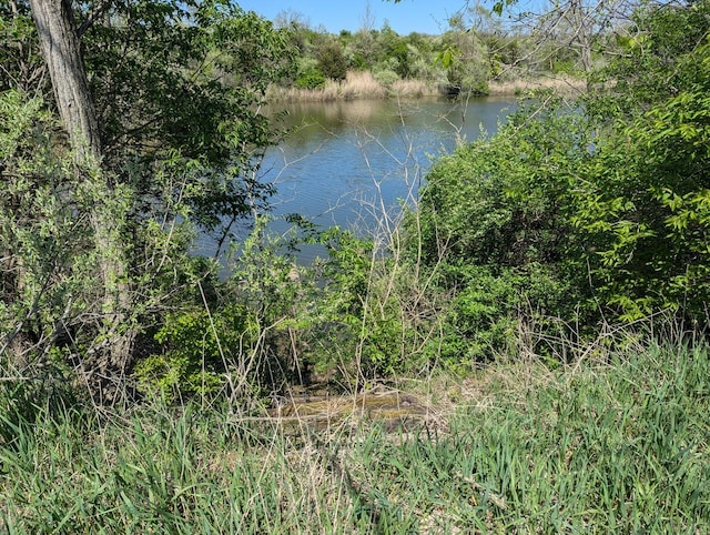 DOR1701G Hungry Hollow Rd, Danville, IL 61834 - photo 2
