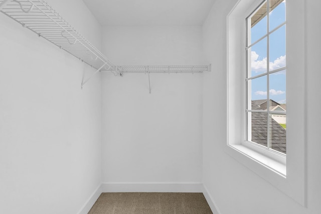 407 Sutton St, Savoy, IL 61874 - walk in closet with carpet floors