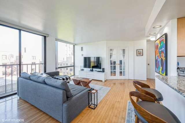 living room with light wood-style floors, plenty of natural light, and french doors