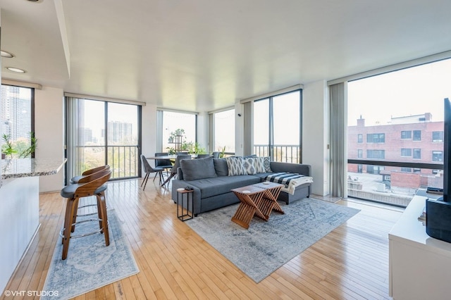 living area with light wood-style floors, plenty of natural light, and a wall of windows