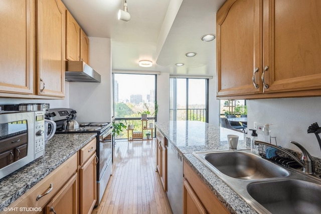 kitchen featuring light wood-style floors, dark stone counters, under cabinet range hood, a sink, and appliances with stainless steel finishes