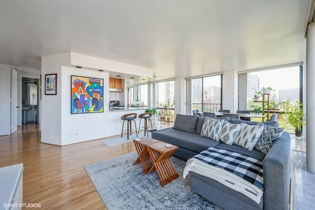 living room with light wood finished floors and a wealth of natural light