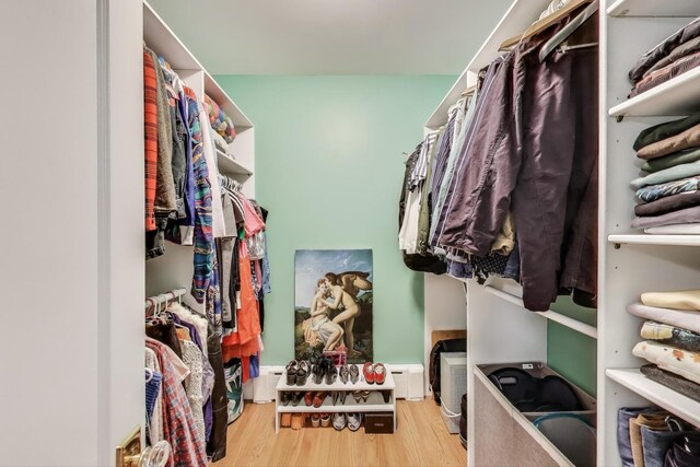spacious closet featuring wood finished floors
