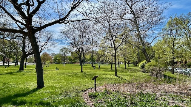 surrounding community with a yard