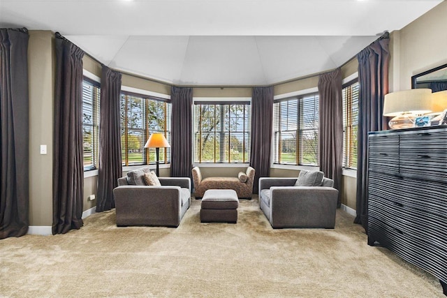 845 Woodward Ave, Deerfield, IL 60015 - living area featuring carpet floors, lofted ceiling, baseboards, and recessed lighting