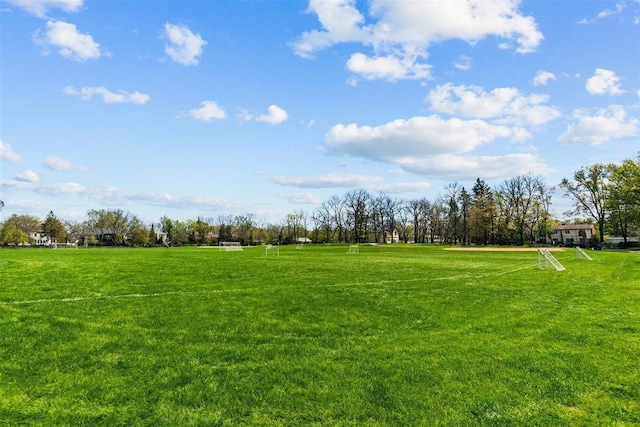 845 Woodward Ave, Deerfield, IL 60015 - view of undeveloped land