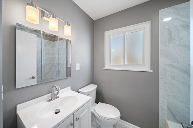bathroom with vanity, a shower, and toilet
