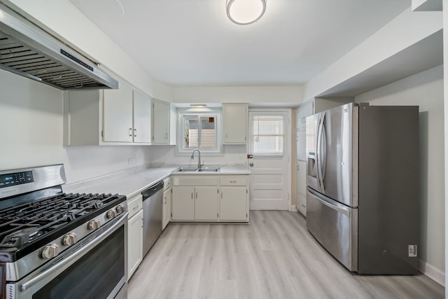 kitchen with light wood-style floors, a sink, ventilation hood, and appliances with stainless steel finishes