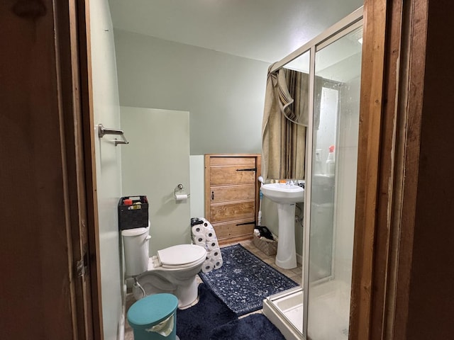 bathroom with a sink, a stall shower, and toilet
