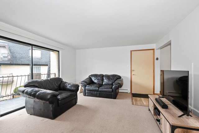 11123 S 84th Ave Unit 2B, Palos Hills, IL 60465 - carpeted living room with baseboard heating