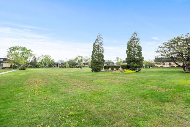 11123 S 84th Ave Unit 2B, Palos Hills, IL 60465 - view of yard