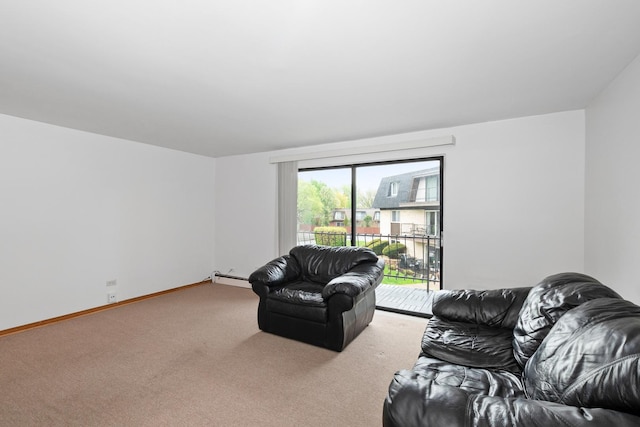11123 S 84th Ave Unit 2B, Palos Hills, IL 60465 - carpeted living area with baseboards and a baseboard radiator