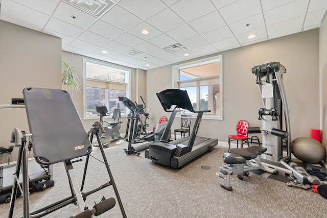 exercise room featuring visible vents, carpet flooring, baseboards, and a drop ceiling