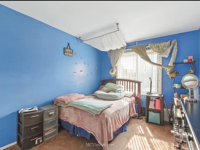 224 Lexington Dr, Bolingbrook, IL 60440 - view of carpeted bedroom
