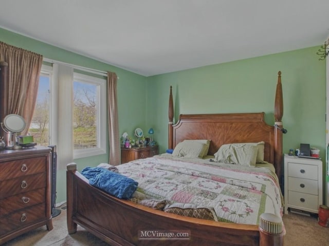 224 Lexington Dr, Bolingbrook, IL 60440 - bedroom featuring carpet