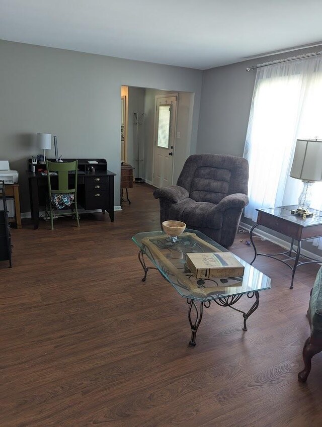 living room featuring wood finished floors