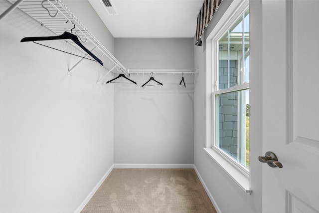 spacious closet with carpet floors and visible vents