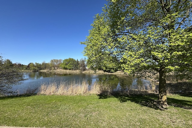 3903 Neubauer Cir Unit 205, Lindenhurst, IL 60046 - water view