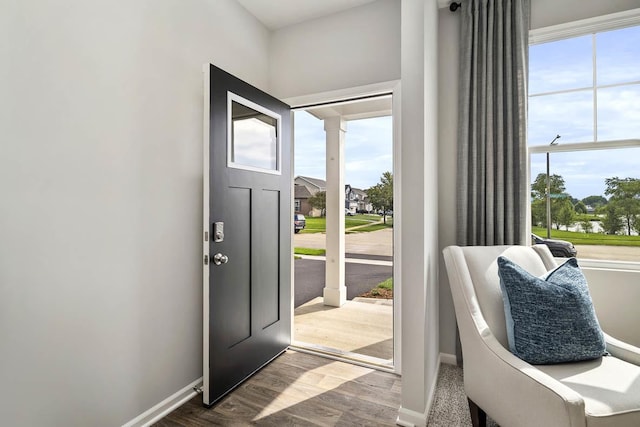 doorway featuring plenty of natural light, baseboards, and wood finished floors